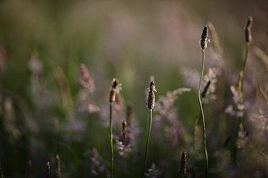 黑色卡牌游戏《邪恶冥刻》12月移植Switch